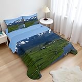 Ambesonne Idaho Sheet Set, Real Life Scenery Photo Lake Fields and Mountains in Stanley Image, Fitted and Flat Sheet with Pillowcases Bedding Accent 4 Piece Set, Queen, Emerald and Dark Slate Blue