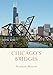 Chicago's Bridges (Shire Library USA)