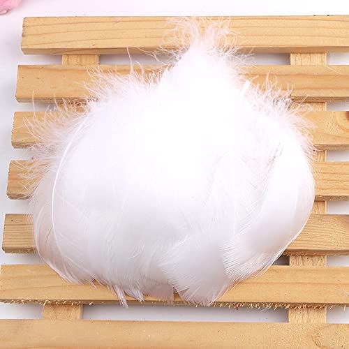 Duories 100 Stück Bunte Feder zum Basteln Naturfedern Gänsefedern...