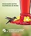 Hummingbird Feeder 10 oz Glass Feeders for Outdoors, with Built-in Ant Guard - Wide Mouth for Easy Filling - 2 Part Base for Easy Cleaning - Circular Perch with 5 Feeding Ports