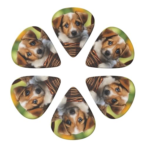 M^[sbN 6pbN q oXPbgɓq M^[sbNz_[ AR[XeBbNM^[ oCI EN x[X