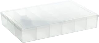Darice FBA_DCB100, Floss Organizer with 100 Bobbins, Clear