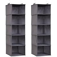 Lifewit Hängeregal, Schrank Organizer, Hängesystem Kleiderschrank, Hängeaufbewahrung aus Stoff, Ordnungssystem Kleiderschrank, Faltbar und Platzsparend mit Metallhaken, 2 Stück, Grau