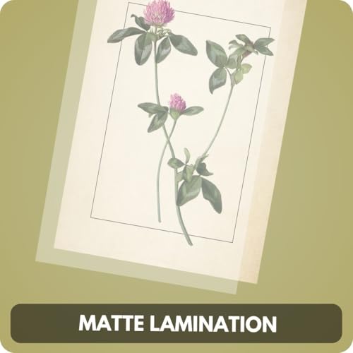 Image of Vintage Botanical Art Prints - Set of 40 Mini Posters (15x10 cm Each) | Floral Wall Art Kit | Aesthetic Botanical Prints for Gallery Wall, Bedroom, Study, Living Room | Unframed Nature-Themed Decor (A 007)