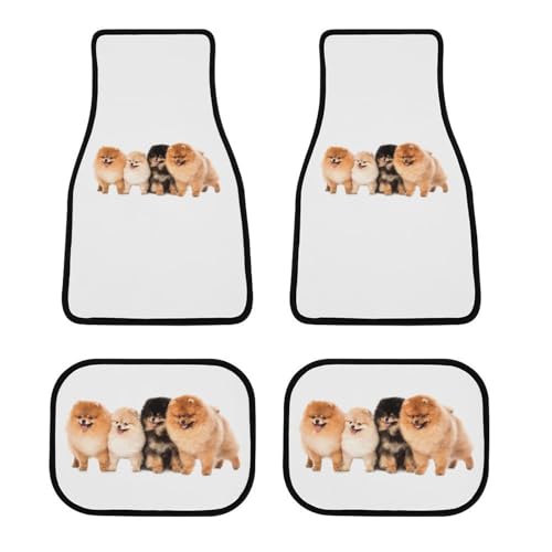 J[}bg |jA 킢   tA}bg  ԗptA}bg 4_Zbg y/ʎ O2E2 h~ ~ ېOK tȒP J[pi lGʗp