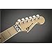Charvel Warren DeMartini Signature Snake Pro-Mod - Snake