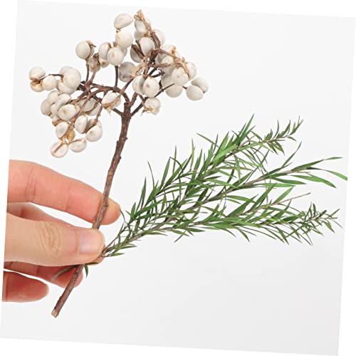 Flores secas para manualidades material decorativo natural miniatura 3