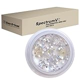 Bird B Gone - SpectrumV Holographic Bird Gel (240 Pack) -...