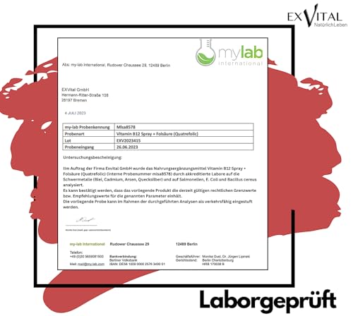 Vitamin B12 Spray, 500µg Vitamin B12 + 100µg Folsäure pro Sprühstoß, bioaktive Quatrefolic® Folsäure, laborgeprüft und hergestellt in DE, 100% vegan & für die vegane Lebensweise