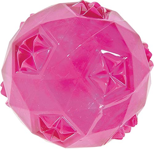 Zolux Pop Jouet Balle pour Chien Framboise Diamètre 6 cm