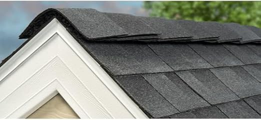 AtticDefense Ridge Vent