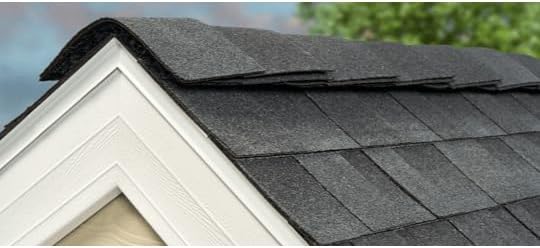 AtticDefense Ridge Vent
