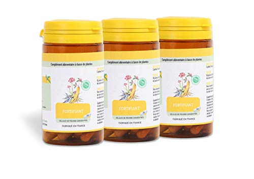 Preisvergleich Produktbild Bu Zhong Yi Qi Tang - - - - - Energierkraft