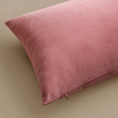Image of MIULEE Pack of 2 Decorative Velvet Pillow Covers Soft Square Throw Pillow Covers Solid Cushion Covers Bright Pink Pillow Cases for Sofa Bedroom Car 16 x 16 Inch 40 x 40 cm