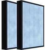 HSP002 True HEPA Air Filter Replacement Compatible with HATHASPACE Air Purifier 2.0 (H13 True HEPA) 2Pack