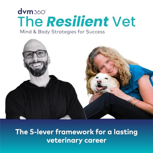 10: The 5-lever framework for a lasting veterinary career