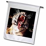 3dRose Michigan, Detroit, Detroit Zoo, Tiger with mouth open 12 x 18 inch Garden Flag