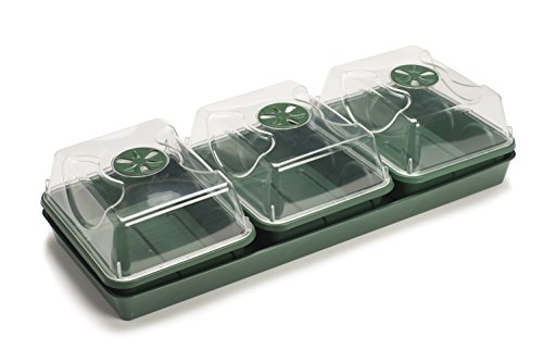 EarlyGrow MPL50033/P - Alféizar de ventana (3 bahías, 55 x 22 x 13 cm), color verde