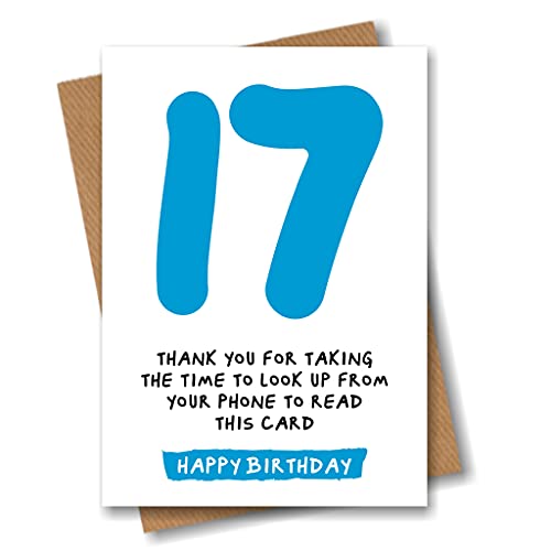 TSVATE Geburtstagskarte Zum 17. Geburtstag – Blau-silbernes Glitzerdesign, Mit Umschlag, 20,6 X 14,5 Cm