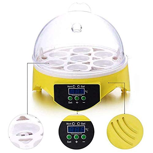 WXHN Inkubator-Set für Kinder, Eier-Inkubator mit Temperaturregelung Klar Allzweck für Inkubatoren Enten Gänse Vögel… – Bild 4