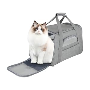 FluffyDream Pet Travel Carrier Soft Sided Portable Bag for Cats, Small Dogs, Kittens or Puppies, Collapsible, Durable, Airline Approved, Travel Friendly (Grey, 17.0″ L x 10.0″ W x 11.0″ H) (Grey)