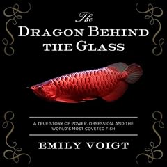 The Dragon Behind the Glass Audiolibro Por Emily Voigt arte de portada