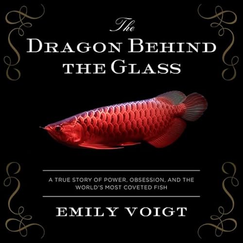 The Dragon Behind the Glass Audiolivro Por Emily Voigt capa
