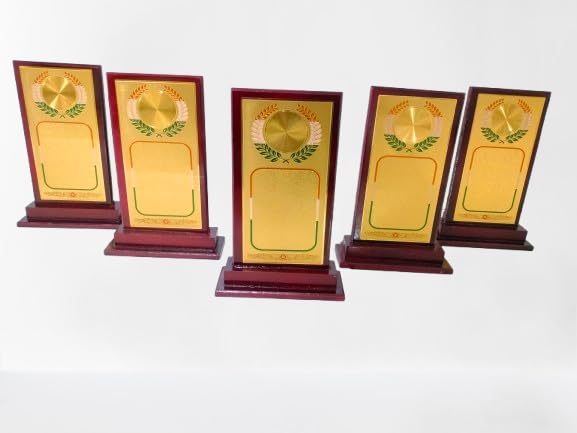 Wooden Sheild with Printed National Flag 8 INCH (Set of 5)-picture-17