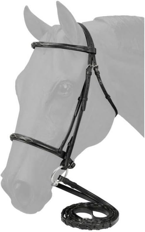 Fancy Stitched Raised Bridle