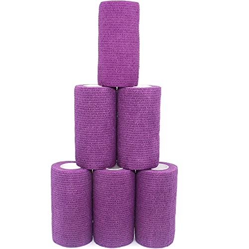 KEQCQE Lk e͕єSуe[sO oe[W ybg  LhsDz ֐߃T|[g Lk ʋC 6