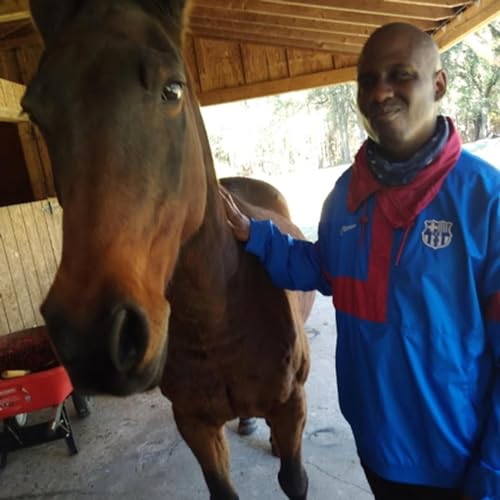 The world is really my copertina