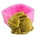 Produktbild 3d Lapin de Pâques Animal Savon Moule en silicone Résine Argile Bougie Fondant Décoration de gâteaux outils de cuisson