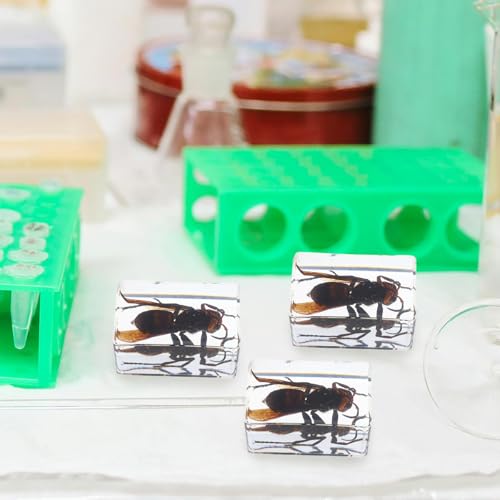 Pisapapeles de insectos de resina para uso científico y oficina 4