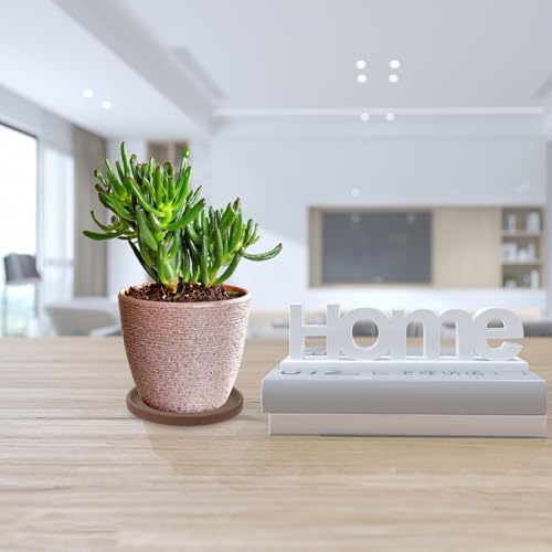 Anneome Aؔ󂯎M ی`Z~bNhbvgC ϋvQ Rh~ tAیp A⒆Ή