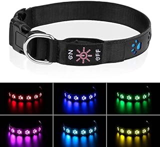 Newest LED Dog Collar [7 Modes] Brifit Rechargeable Flashing Light Up Collars Waterproof Dog collar Increased Visibility for Night Walking Glowing Doggy Necklace for Small Dogs, 9.84''-11.8'', XS Size