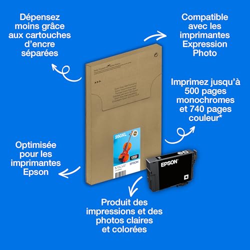 Epson Multipack 6 colours 250XL Ink Easymail - vue 3
