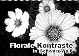 blumen schwarz weiß zeichnung Autor(in): Linda Schilling Florale Kontraste in Schwarz-Weiß (Wandkalender 2022 DIN A2 quer)