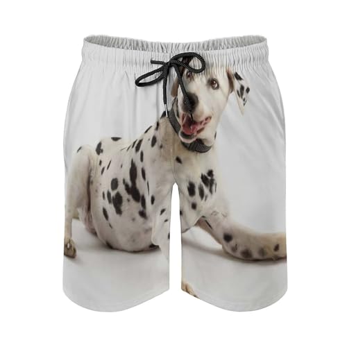 Shorts de bain dalmatien maillot de bain séchage rapide