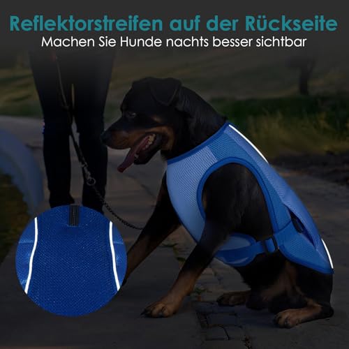 Katzinst Kühlweste für Hunde, Hundekühlweste mit Reflektierenden Streifen, Sonnenschutz Sommer Leichte Atmungsaktive, Spazierengehen Wandern, Kühlweste für Mittelgroße Hunde,Beagle,Blau XL