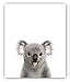 Designs by Maria Inc. Animal Posters | Baby Nursery Decor | Baby Room Pictures Art | Cute Animal Pictures | Set of 6 UNFRAMED Wall Prints | Boy & Girl Baby Room Wall Decor Animal Print (8