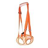 Harnais de soutien pour pour pattes arrière - fabriqué en tissu oxford de haute qualité et en matières plastiques, il est durable