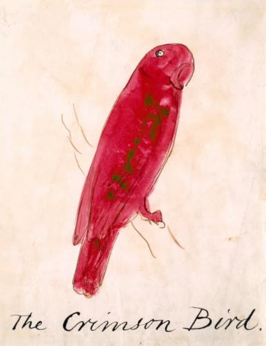 Lienzo de pintura clásica El Pájaro Carmesí de Edward Lear, cuadro de 60x90cm