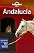 Lonely Planet Andalucia 9 (Travel Guide)