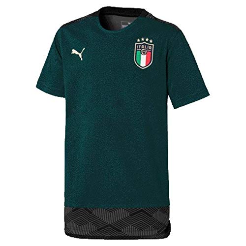 PUMA FIGC Casuals Tee Jr Peaco T-Shirt, Ponderosa