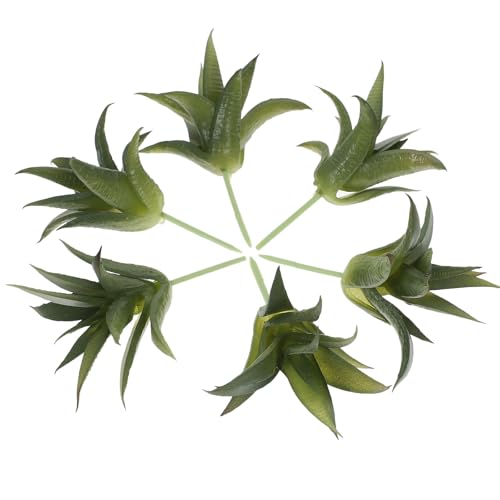 ledmomo 6 ?^A_ plHϗtA f ׃fUC CeA z[ p[eB[ BepS