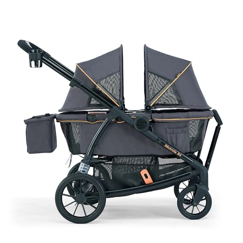 Image of Pamo Babe All-Terrain Wagon Stroller for Two Kids, Double Stroller with Push or Pull Handle, Canopy, Storage Basket, Dinner Plate, Oversized Damping Wheels, Mosquito Net and Rain Cover Grey