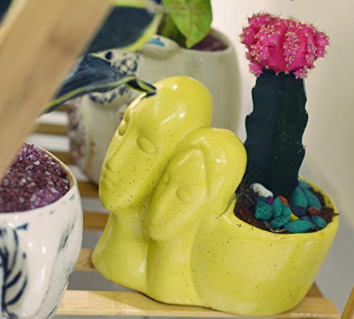 Image of Lasaki Couple Yellow Ceramic Pots for Indoor Plants, Planters, Flower, Pots, gamla, Outdoor, Balcony, Home, Garden, Office Decor, Succulent Pot(L - 16 X W - 10 X H - 14.5 cm)(Plants not Included)