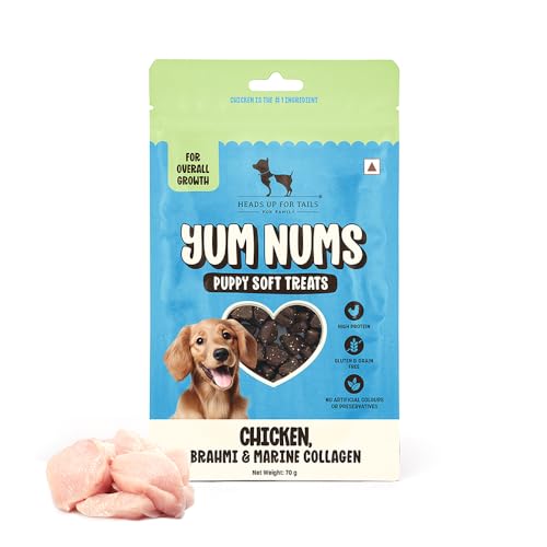 HUFT Yum Nums Chicken, Brahmi & Marine Collagen Puppy Soft Treats | Healthy Dog Treats for Puppies | Soft Chewy Snacks | Puppy Training Treats | High Protein, Joint Support - 70gm | Pack of 3