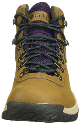Image of Columbia Women's Newton Ridge Plus Waterproof Hiking Boot (Legacy)