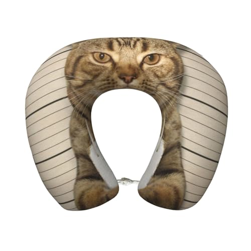 [§miyo] lbNs[ ᔽ U^  s@ sp gі RpNg 􂦂Jo[ ʋC y  V ItBX Q jp L5(8)